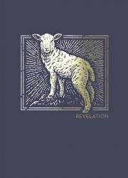 NET Abide Bible Journal: Revelation (Comfort Print)-Softcover | SHOPtheWORD