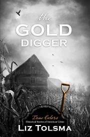 The Gold Digger (True Colors) by Liz Tolsma | SHOPtheWORD