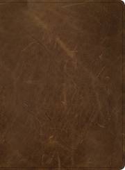 CSB Men Of Character Bible-Brown Genuine Leather (May 2021) | SHOPtheWORD