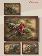 Card-Boxed-Christmas-Winter Birds w/Scripture (Box Of 12) | SHOPtheWORD