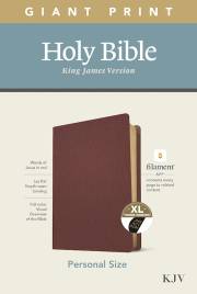 KJV Personal Size Giant Print Bible/Filament Enabled-Burgundy Genuine Leather Indexed | SHOPtheWORD