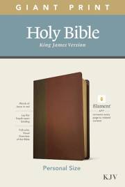 KJV Personal Size Giant Print Bible/Filament Enabled-Brown/Mahogany LeatherLike | SHOPtheWORD