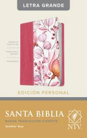 Span-NTV Personal Size Large Print Bible (Edicion Personal Letra Grande)-Rose LeatherLike Indexed | SHOPtheWORD