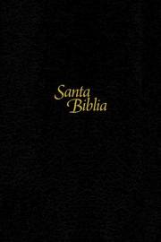 Span-NTV Personal Size Large Print Bible (Edicion Personal Letra Grande)-Black Hardcover Indexed | SHOPtheWORD