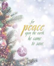Bulletin-Advent Week 2: Peace/Trees And Ornaments (Pack Of 50)-Legal Size (Aug) | SHOPtheWORD