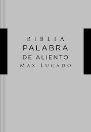 Span-NIV Lucado Encouraging Word Bible (Santa Biblia, Lucado, Palabra De Aliento)-Gray Hardcover | SHOPtheWORD