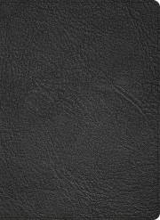 CSB Ancient Faith Study Bible (Holman Handcrafted Collection)-Black Premium Goatskin | SHOPtheWORD