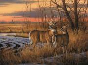 Jigsaw Puzzle-Daybreak (1000 Pieces) | SHOPtheWORD