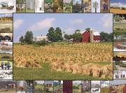 Jigsaw Puzzle-Golden Grain (1000 Pieces) | SHOPtheWORD