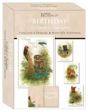 Card-Boxed-Shared Blessings-Birthday Wildlife (Box Of 12) | SHOPtheWORD
