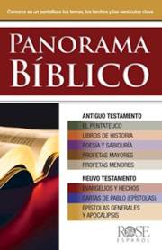 Span-Bible Overview Pamphlet (Panorama Biblica Folleto) (Pack Of 5) by Publishing Rose | SHOPtheWORD