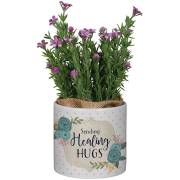 Planter w/Flowers-Healing Hugs (7.5" x 3.5") | SHOPtheWORD