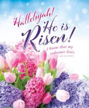 Letterhead-Halleluah! He Is Risen! (Job 19:25) (Pack Of 100) | SHOPtheWORD