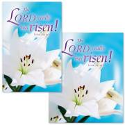 Bulletin-The Lord Really has Risen! (Luke 24:34b)-Legal Size (Pack Of 50) | SHOPtheWORD