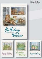 Card-Boxed-Birthday-Herb Garden (Box Of 12) | SHOPtheWORD