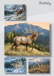 Card-Boxed-Birthday-Mountaintop Majesty (Box Of 12) | SHOPtheWORD