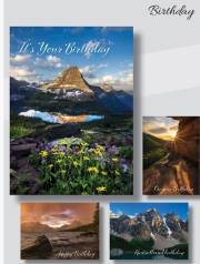 Card-Boxed-Birthday-My Father's World (Box Of 12) | SHOPtheWORD