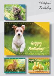 Card-Boxed-Childrens Birthday-Fuzzy Friends (Box Of 12) | SHOPtheWORD