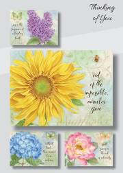 Card-Boxed-Thinking Of You-Butterfly Blooms (Box Of 12) | SHOPtheWORD