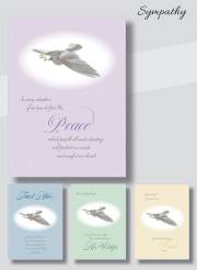 Card-Boxed-Sympathy-Peace Doves (Box Of 12) | SHOPtheWORD