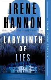 Labyrinth Of Lies (A Triple Threat Novel #2) by Irene Hannon | SHOPtheWORD