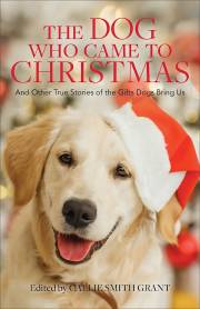 The Dog Who Came To Christmas by Callie Smith Grant | SHOPtheWORD