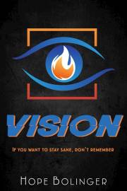 Vision (Blaze Trilogy #3) (Aug) by Hope Bolinger | SHOPtheWORD