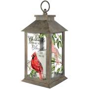 Lantern w/LED Candle & Timer-Cardinals Appear (13" x 5.5" x 5.5") | SHOPtheWORD