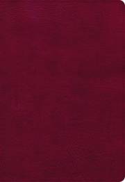 NASB 2020 Super Giant Print Reference Bible-Burgundy LeatherTouch | SHOPtheWORD