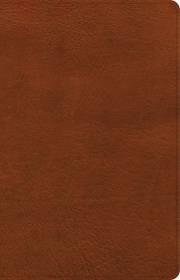 NASB 2020 Large Print Personal Size Reference Bible-Burnt Sienna LeatherTouch Indexed | SHOPtheWORD