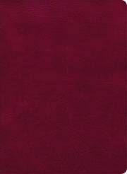 CSB Holy Land Illustrated Bible-Burgundy LeatherTouch Indexed | SHOPtheWORD