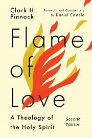 Flame Of Love by Clark H Pinnock | SHOPtheWORD
