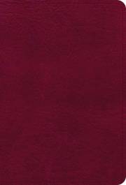 NASB 2020 Large Print Compact Reference Bible-Burgundy Leathertouch | SHOPtheWORD