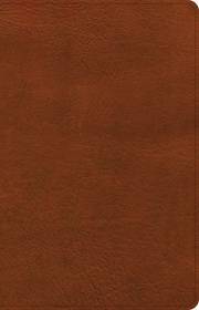 CSB Thinline Bible-Burnt Sienna LeatherTouch | SHOPtheWORD
