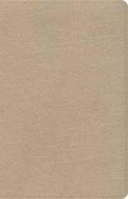 CSB Thinline Bible-Gold LeatherTouch | SHOPtheWORD