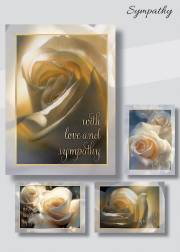 Card-Boxed-Sympathy-Roses (Box Of 12) | SHOPtheWORD