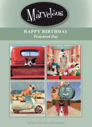 CARD-MARVELOUS TREASURED DAY BIRTHDAY #187 (BOX OF 12) | SHOPtheWORD