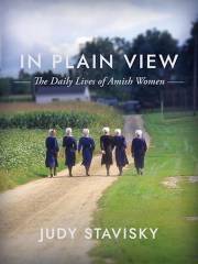 In Plain View by Judy Stavisky | SHOPtheWORD