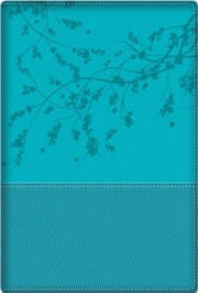Span-RVR 1960 A Woman After God's Own Heart Bible-Aqua Duotone | SHOPtheWORD