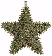 Decor-Mistletoe Star-Light Up (12") | SHOPtheWORD
