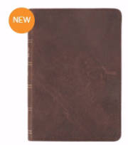 KJV Compact/Large Print Bible-Dark Brown Genuine Leather | SHOPtheWORD