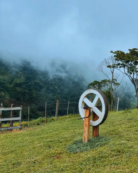 Collina 🗣️ /kol-lí-na/ Image