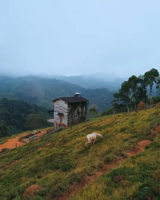 Collina 🗣️ /kol-lí-na/ Image