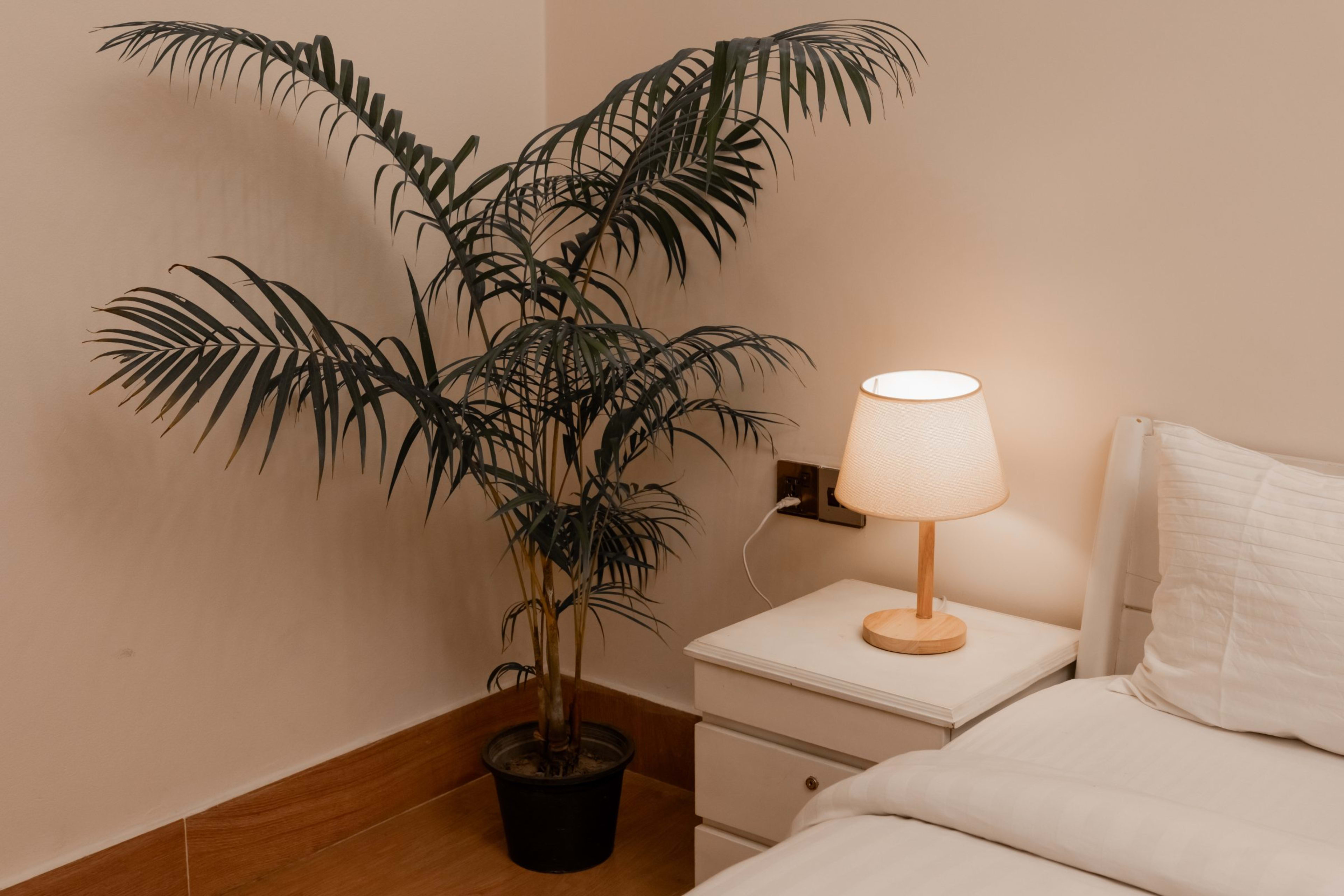 Deluxe Room — photo 7