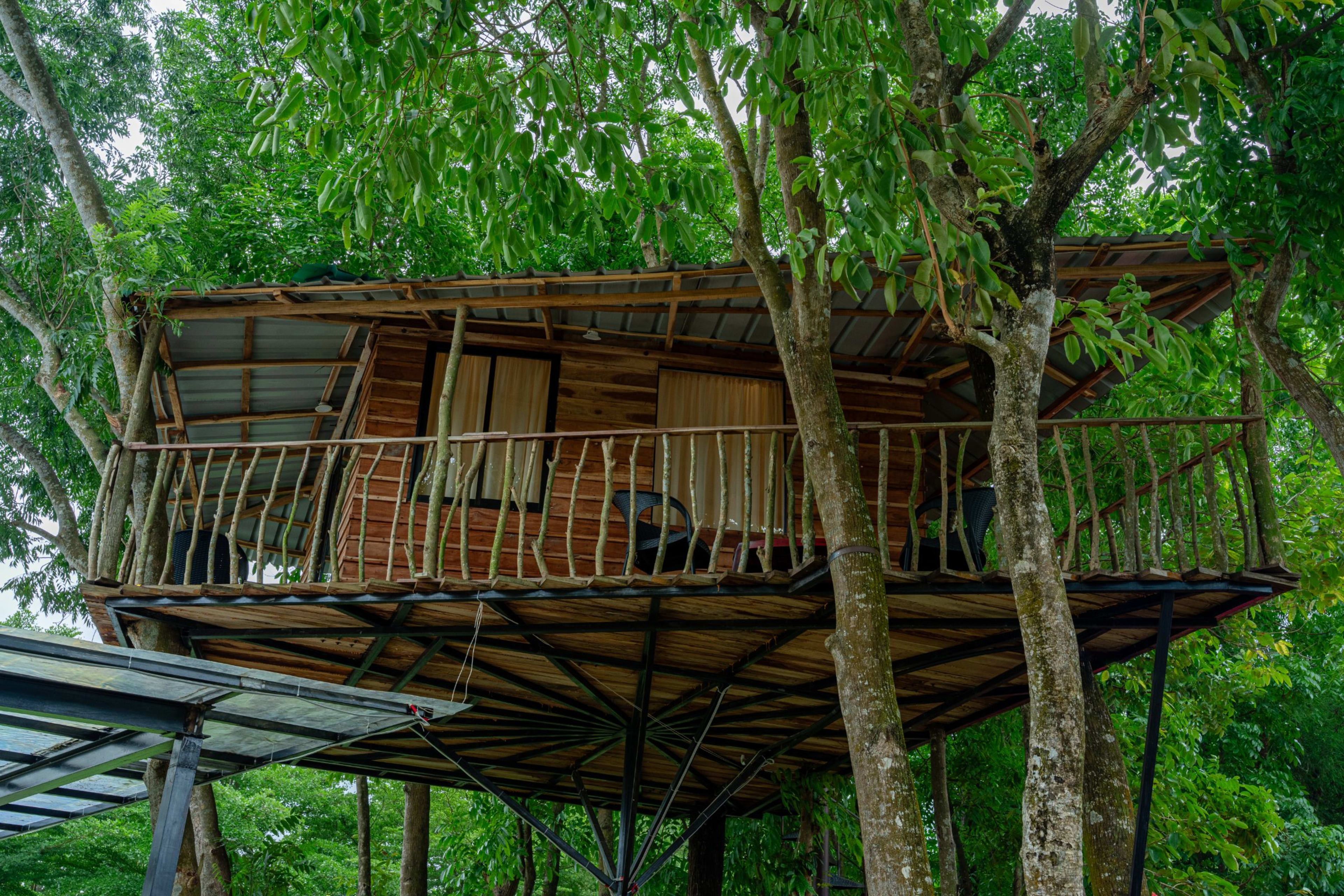 Treehouse — photo 11