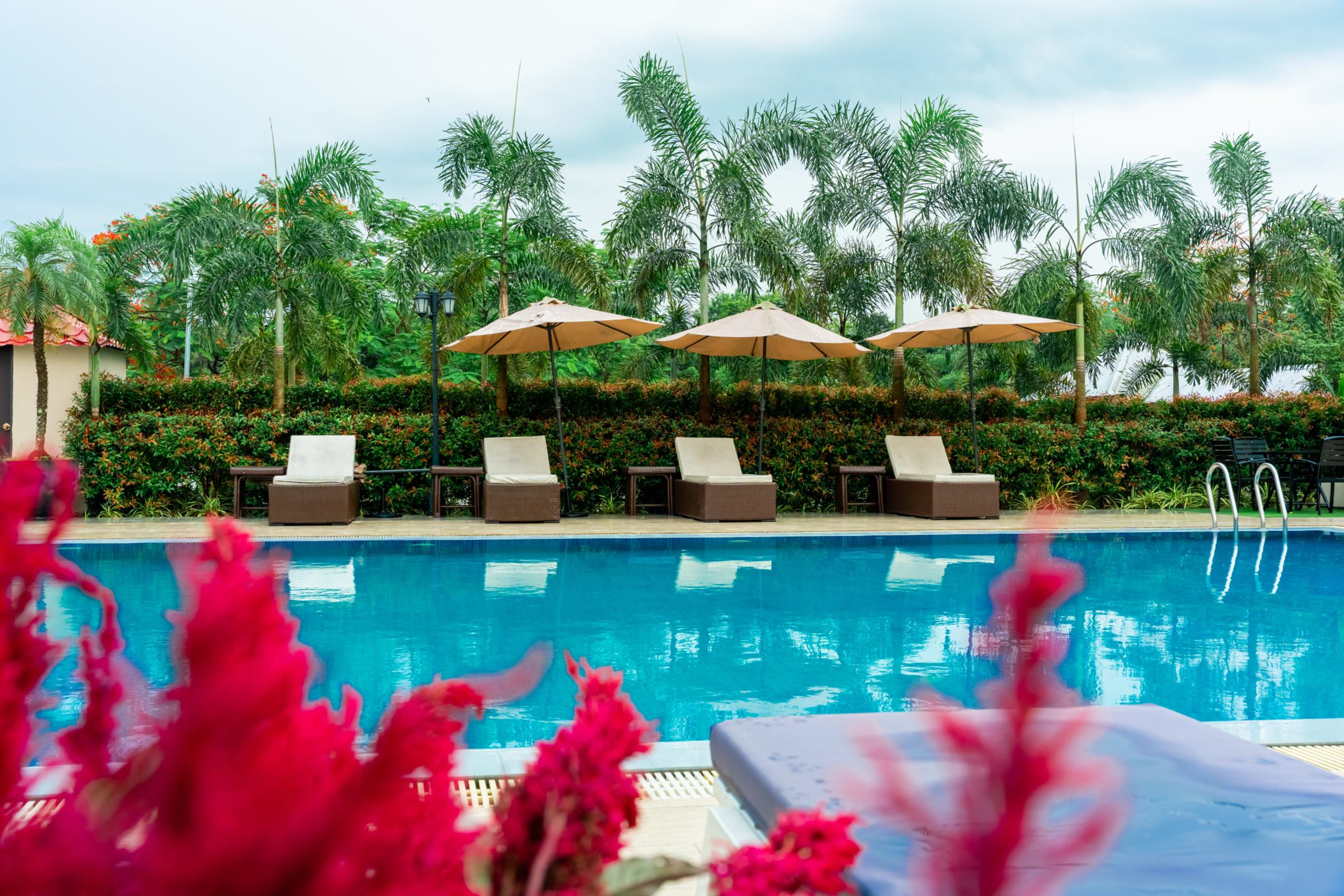 Outdoor swimming pool