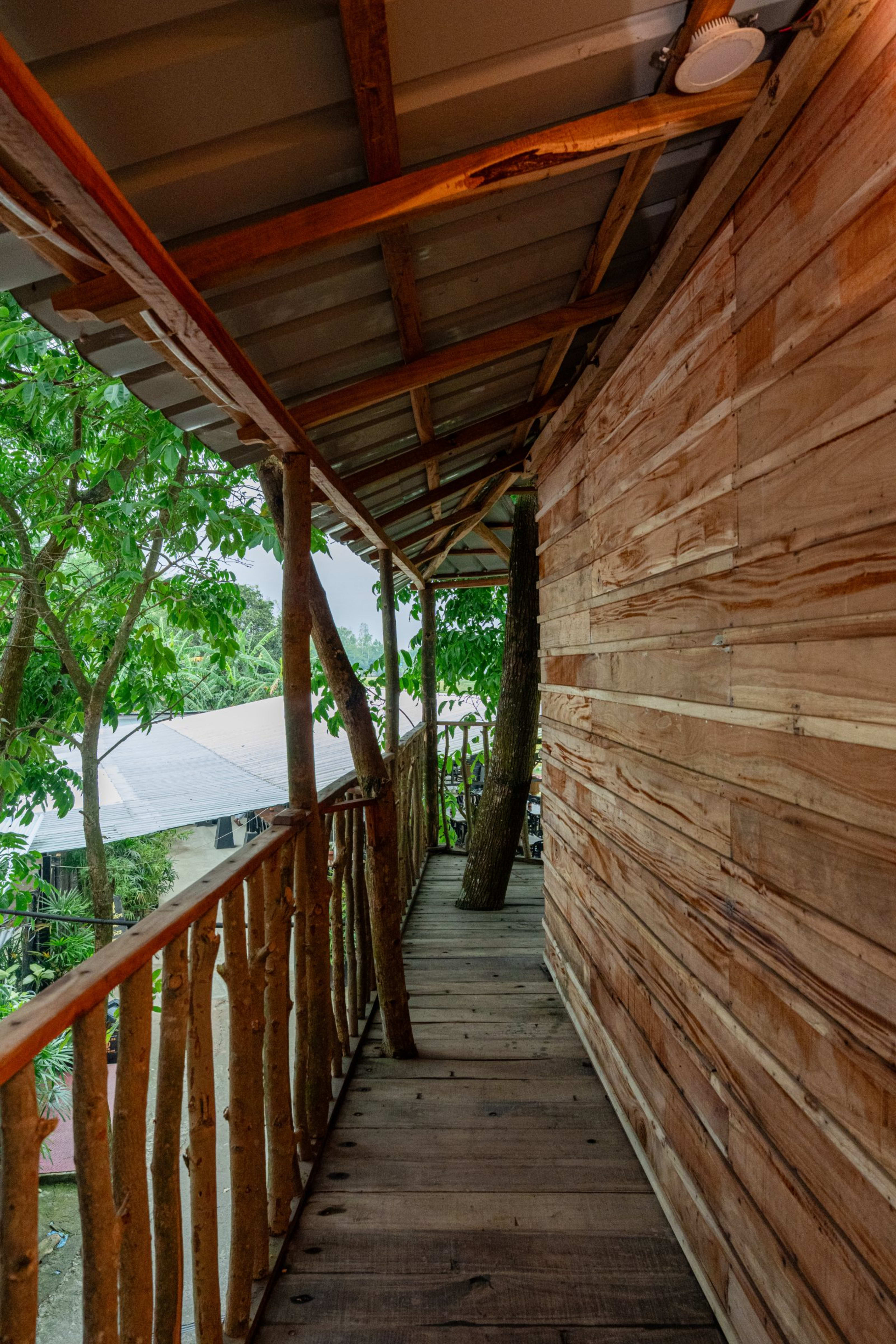 Treehouse — photo 16