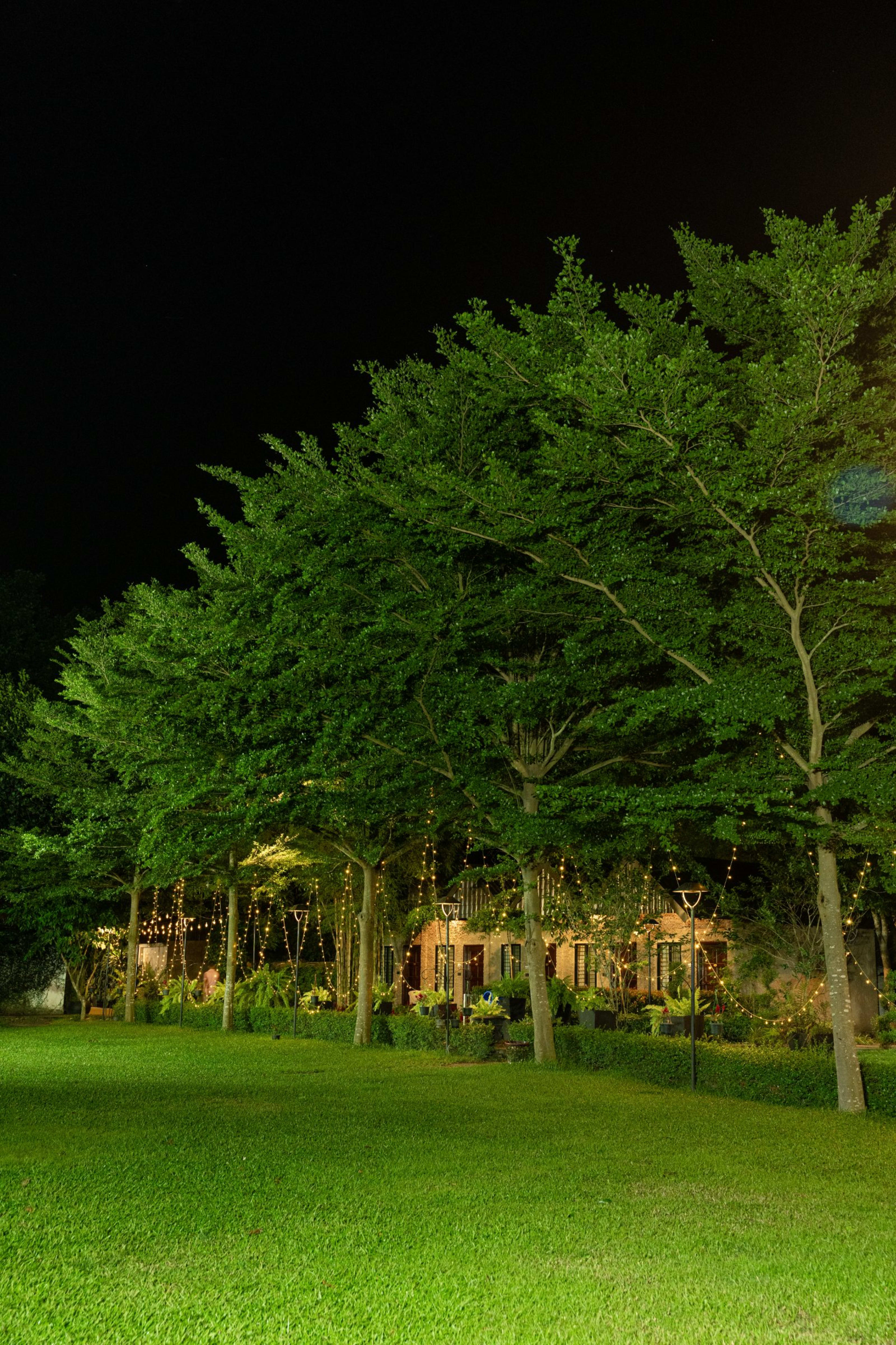 Out in the gardens. — photo 41