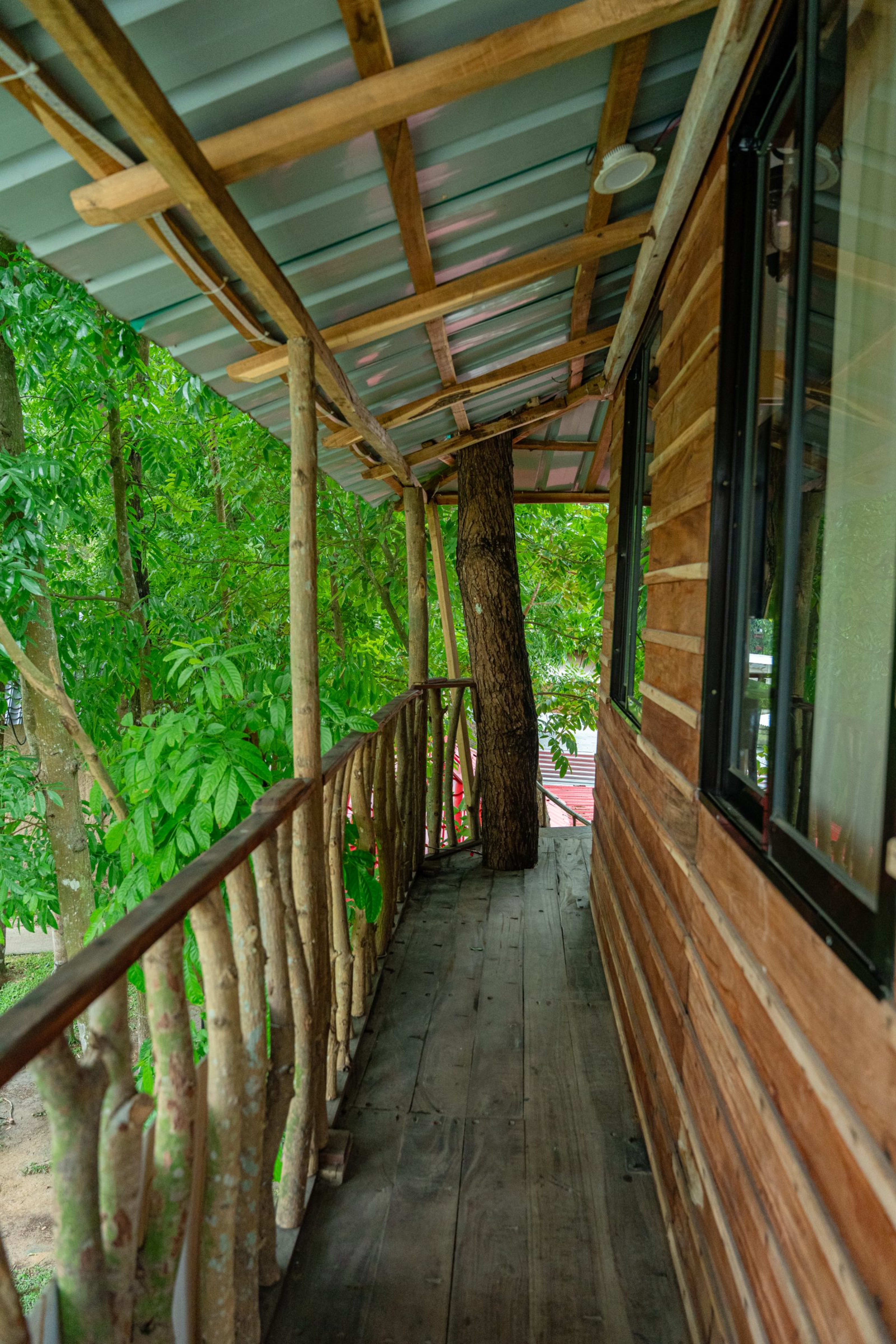 Treehouse — photo 14