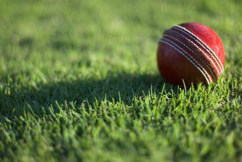 Cricket Ball on Grass